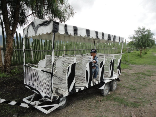 Visita guiada safari